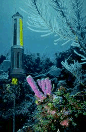 YSI 6ϵж๦ˮ|Oyϵyx